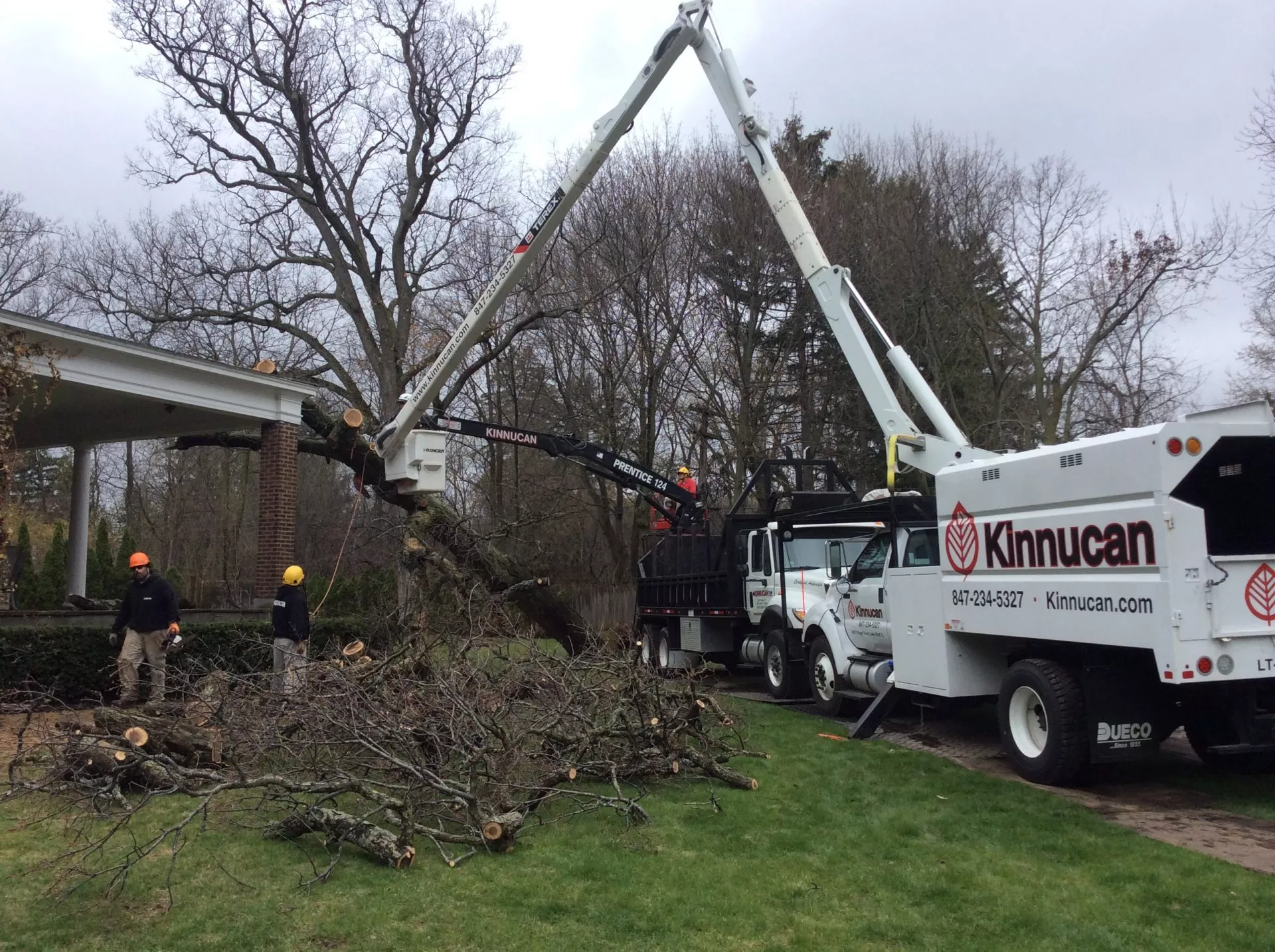 The Kinnucan Crane removing the North Shore storm damage fallen tree