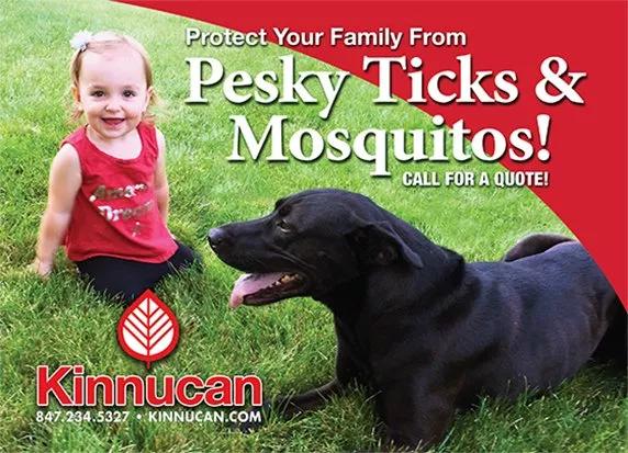 kinnucan-tree-care-mosquitos