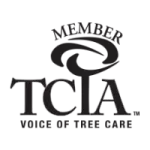 TCIA Logo.
