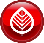 Bud button - Kinnucan Tree Experts & Landscape Company.