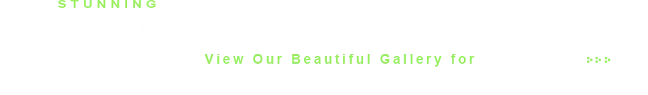 kinnucan-landscape-design-header