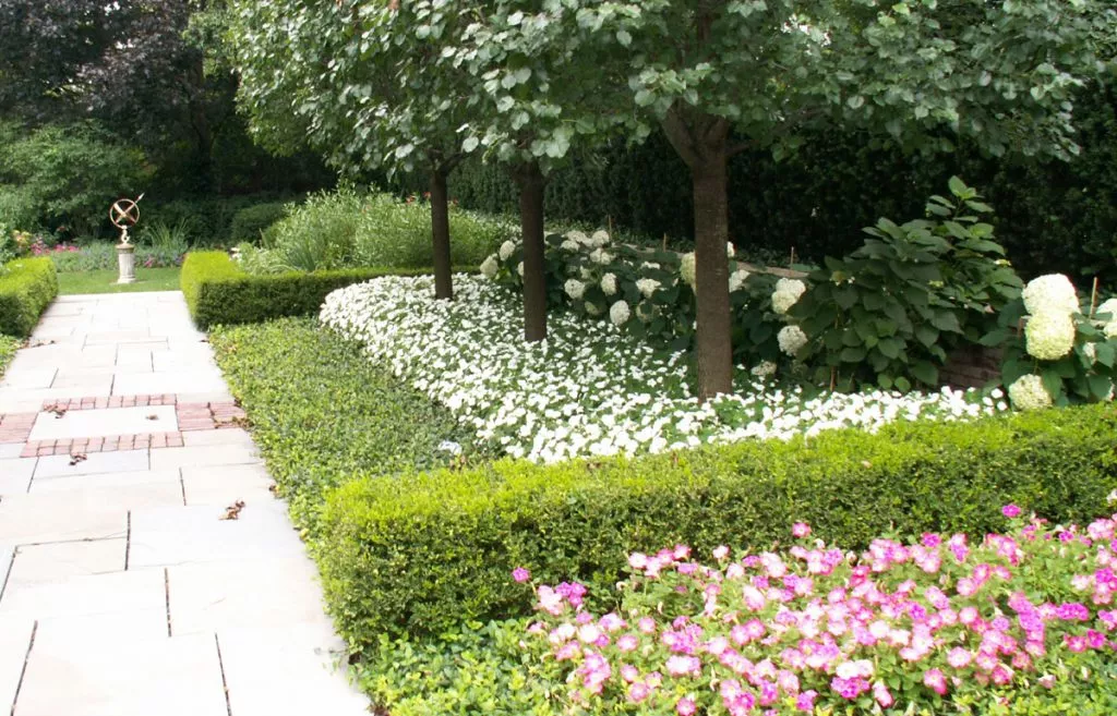 Feature | Kinnucan Tree Experts & Landscape Company