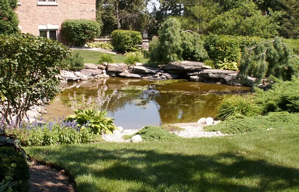 Feature | Kinnucan Tree Experts & Landscape Company