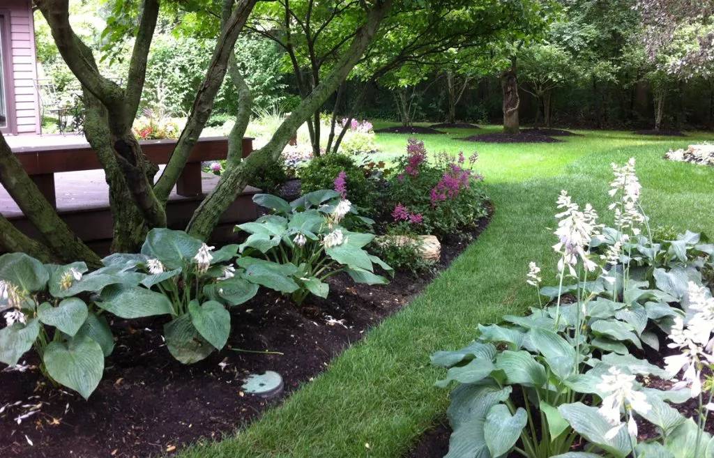 Feature | Kinnucan Tree Experts & Landscape Company