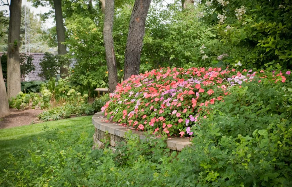 Feature | Kinnucan Tree Experts & Landscape Company