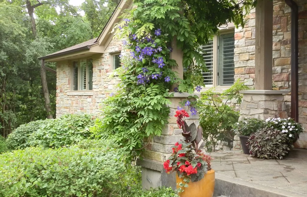 Feature | Kinnucan Tree Experts & Landscape Company