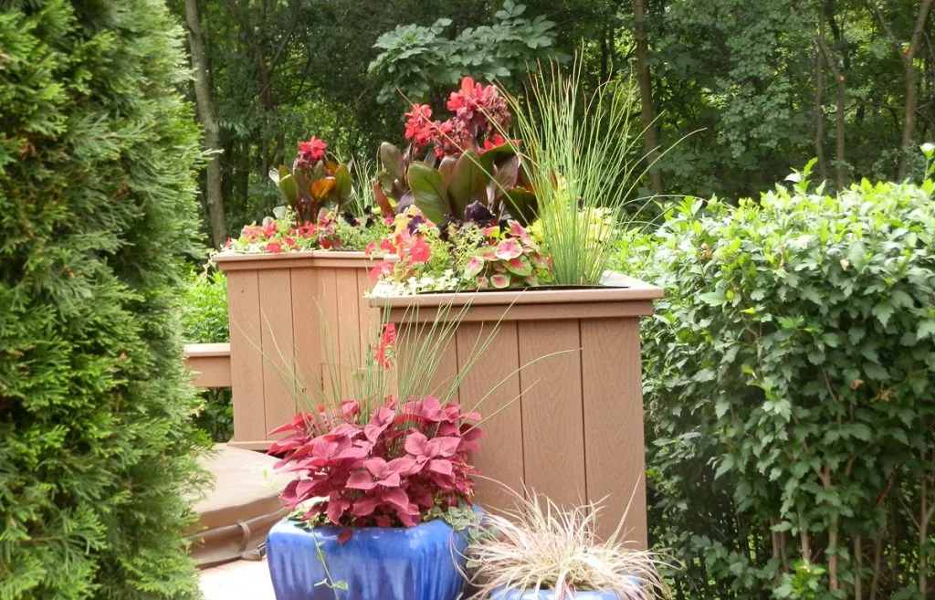 Feature | Kinnucan Tree Experts & Landscape Company