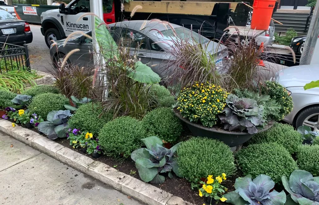 Cool Curb | Kinnucan Tree Experts & Landscape Company