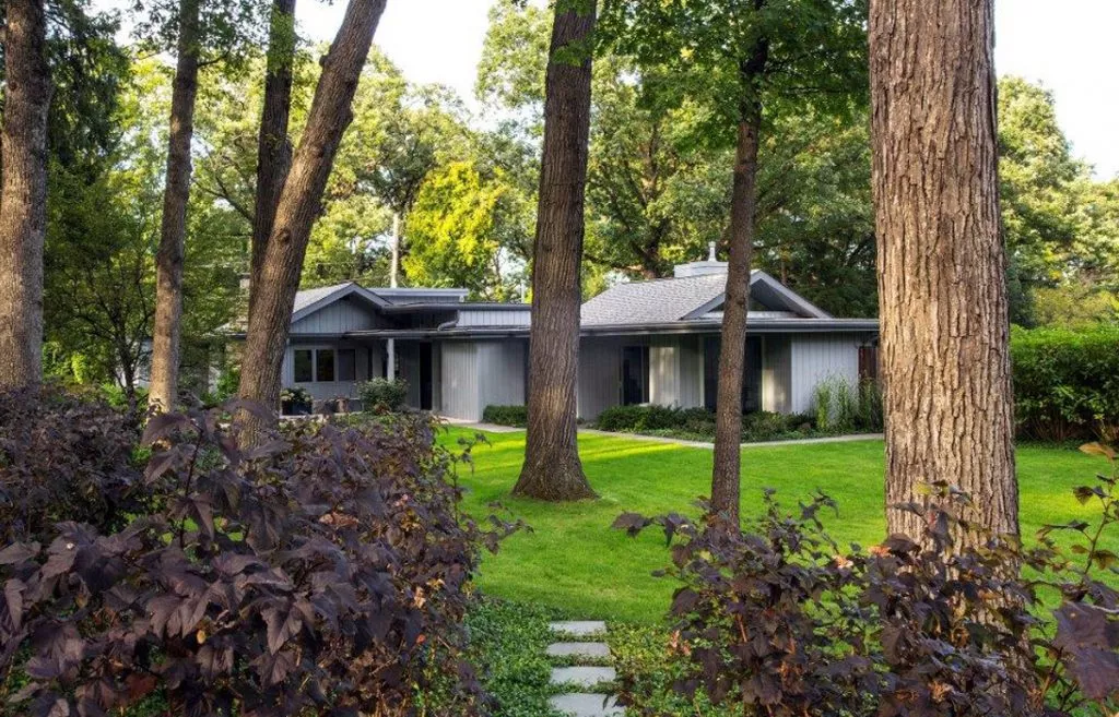 CoolYard | Kinnucan Tree Experts & Landscape Company