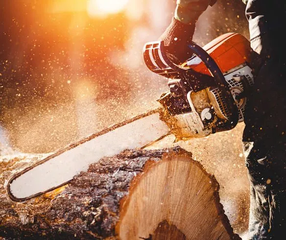 Kinnucan Tree Experts - cutting down trees up close with a chain saw.