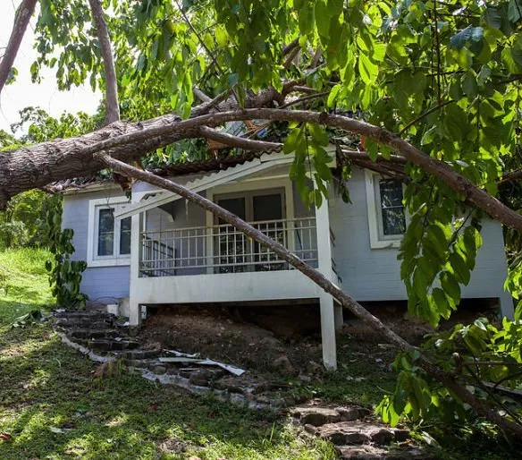Kinnucan Tree Experts - emergency tree service is needed when a tree has fallen on a house or car.