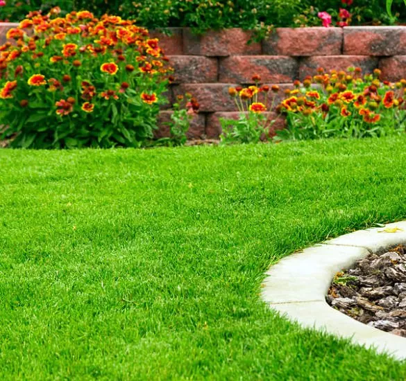 Kinnucan Tree Experts & Landscape Company - landscaping service near me is offered by Kinnucan - well-maintained lawn.
