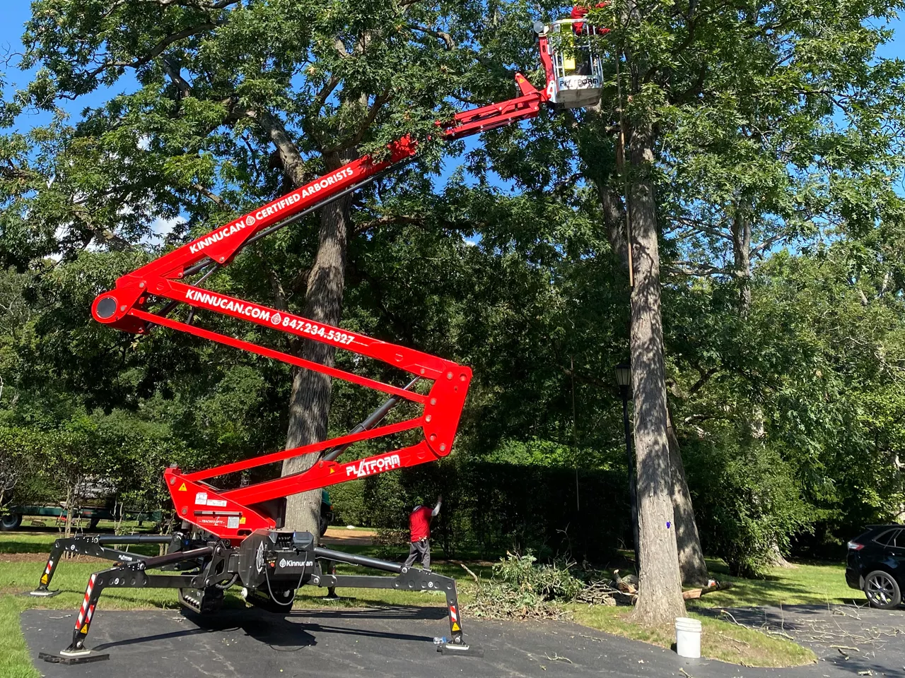 TreeCare | Kinnucan Tree Experts & Landscape Company