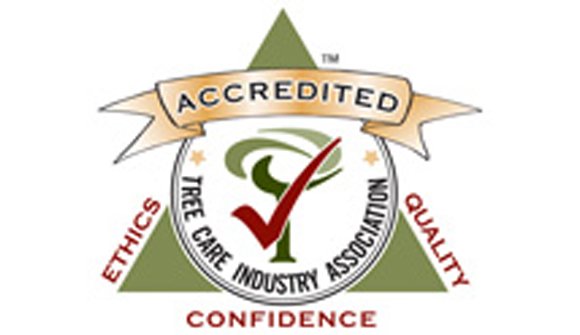 TCIA Accreditation 