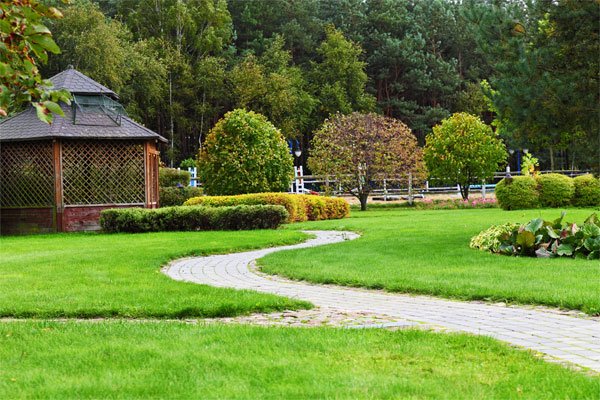 A beautifully landscaped lawn design.