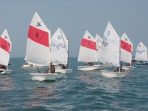 Kinnucan Tree Experts and Landscape Company Helps the Lake Forest Sailing Program