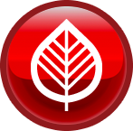 Bud button - Kinnucan Tree Experts & Landscape Company.
