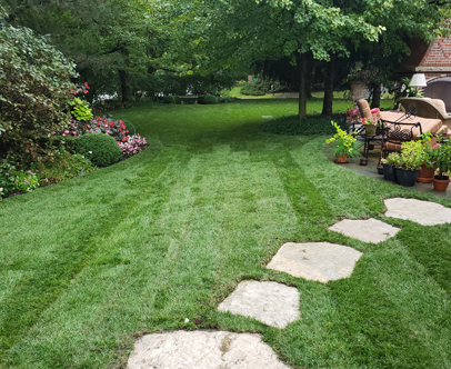 AugustPhoto | Kinnucan Tree Experts & Landscape Company