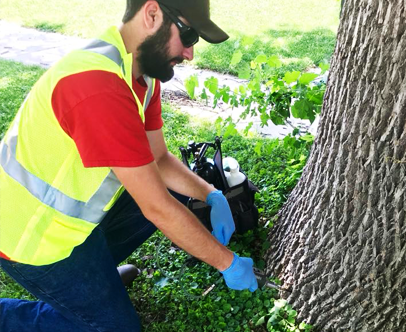MarchPhoto | Kinnucan Tree Experts & Landscape Company