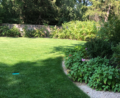 SepPhoto | Kinnucan Tree Experts & Landscape Company