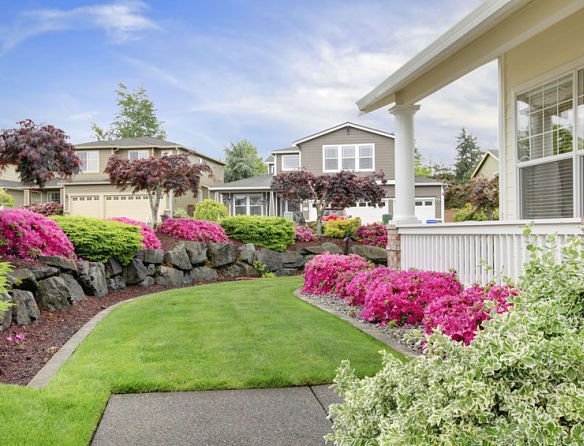 affordable landscape designers near me