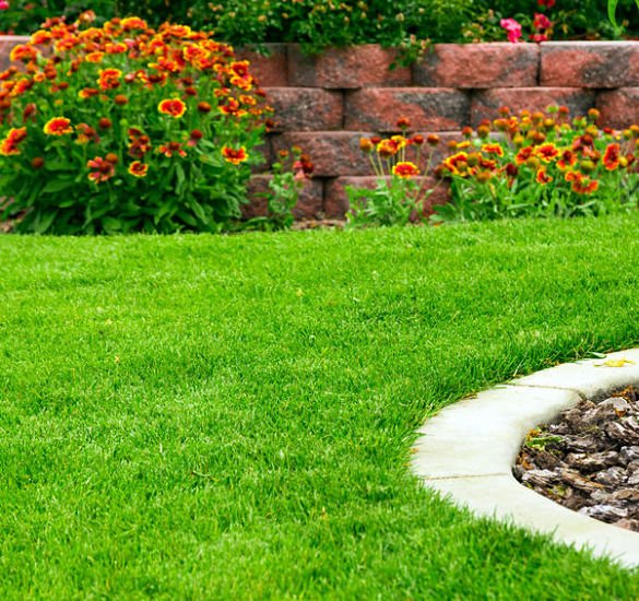 Landscaping Service Near Me | Kinnucan Tree Experts