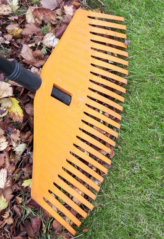 Kinnucan - we offer fall clean up services - raking leaves is a part of the fall clean up services.