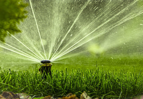 Kinnucan Tree Experts and Landscape Company - spring lawn care is essential for a green and healthy landscape - turning on your automatic sprinklers is a part of spring lawn care.