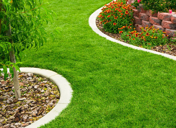 Kinnucan Tree Experts - spring lawn care is necessary for a green healthy landscape - garden picture.