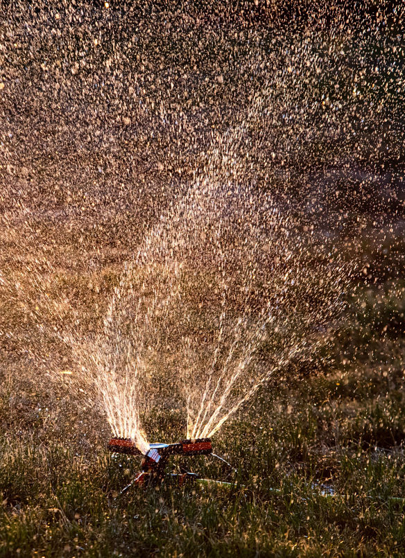 Kinnucan Tree Experts & Landscape - sprinkler in the yard - summer lawn care is important to your landscape during July and August.