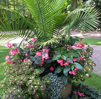 IPOT | Kinnucan Tree Experts & Landscape Company