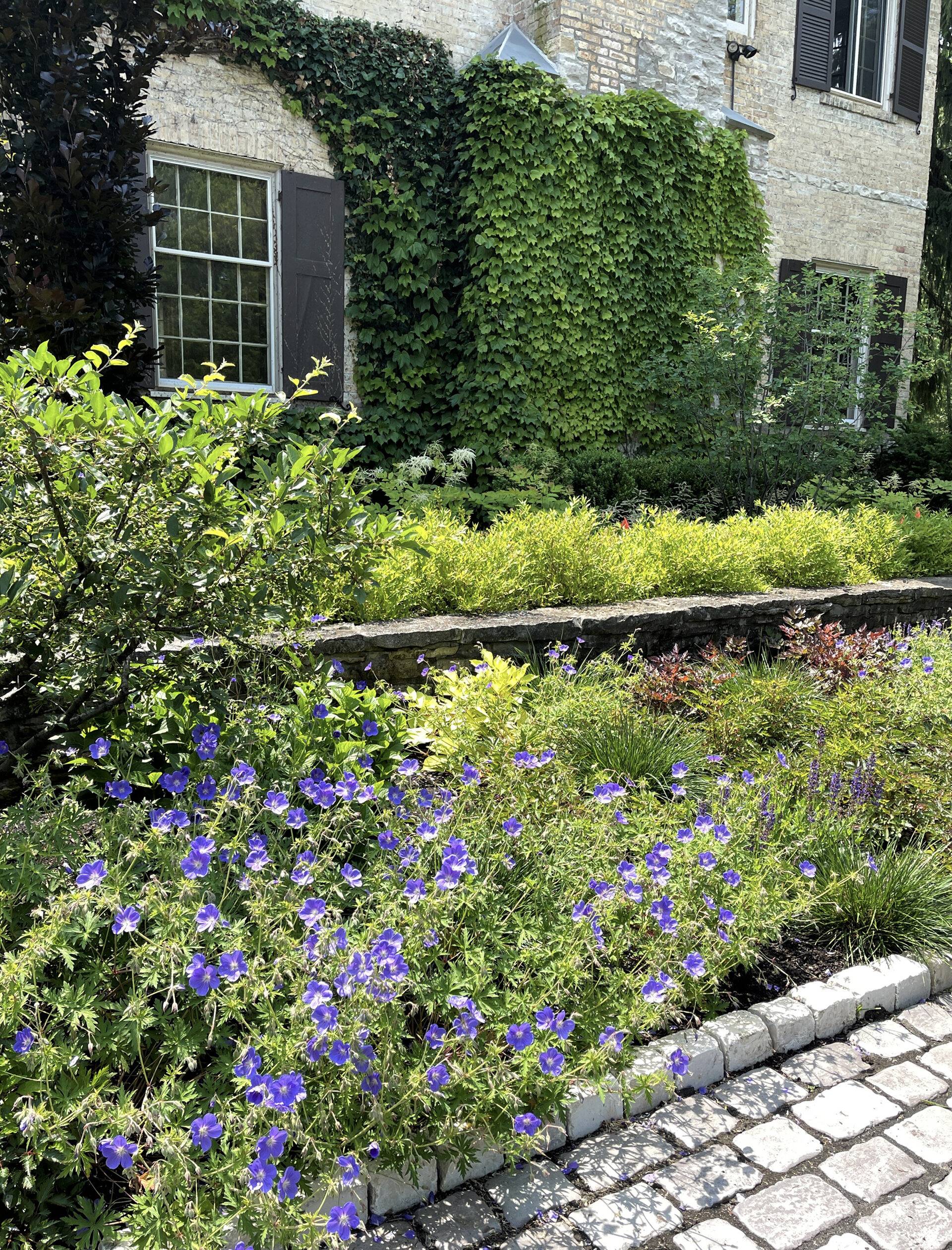 Hubbard | Kinnucan Tree Experts & Landscape Company